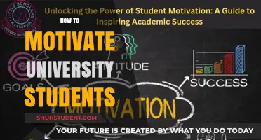 Unleashing Student Potential: Strategies for University Motivation