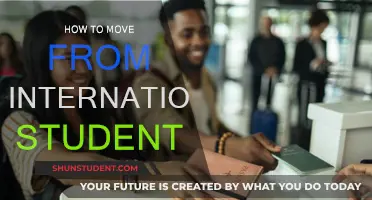 Unlocking Post-Grad Success: From International Student to Professional