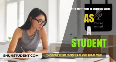 Zoom Classroom Hack: How to Mute Your Teacher as a Student