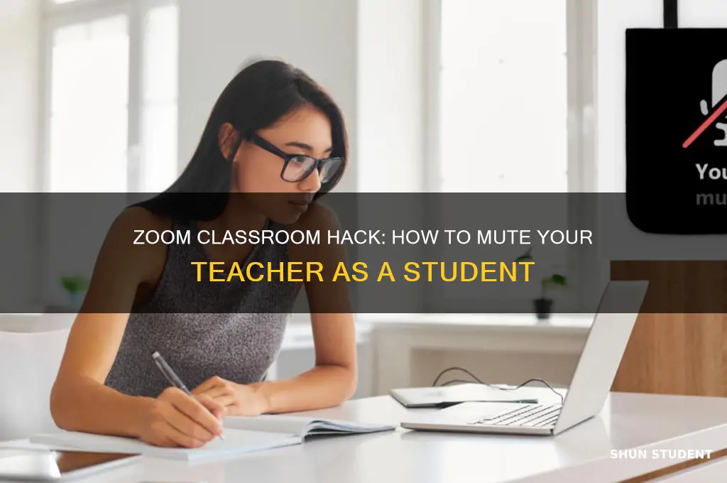 how to mute your teacher on zoom as a student
