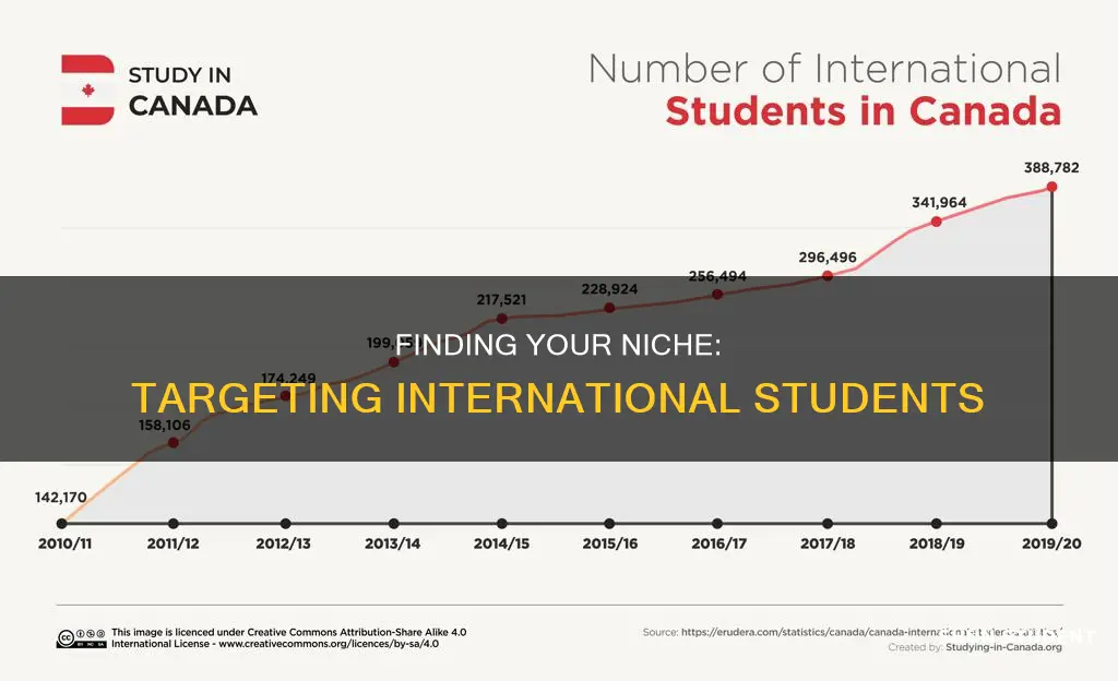 how to narrow audience target international students