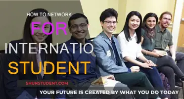 Networking Strategies for International Students: A Guide
