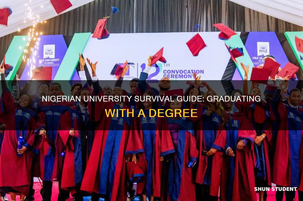 how to nigerian students graduate from universities