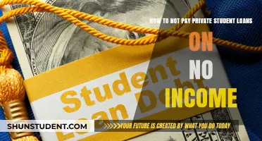 Avoid Private Student Loan Payments When Income-less