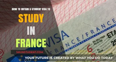 Unlocking Opportunities: A Guide to Obtaining a Student Visa for France