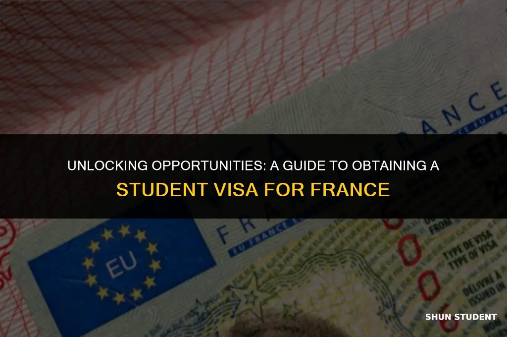 how to obtain a student visa to study in france