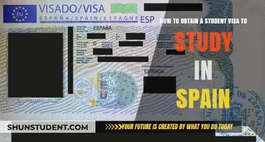 Unlocking Opportunities: A Guide to Obtaining a Student Visa for Spain
