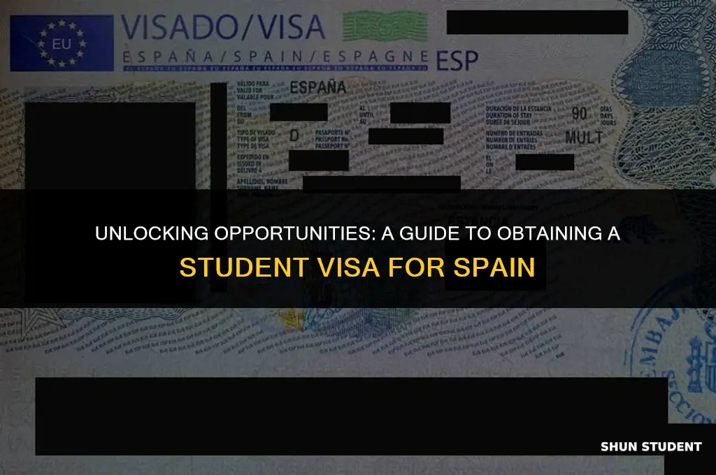 how to obtain a student visa to study in spain