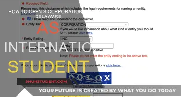 Opening an S Corp in Delaware as an International Student
