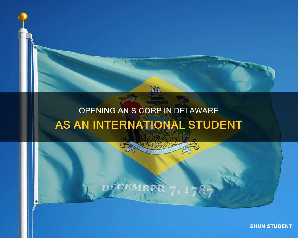 how to open s corporation in delaware as international student