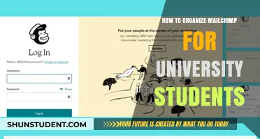 University Students: Streamline Your Mailchimp Experience