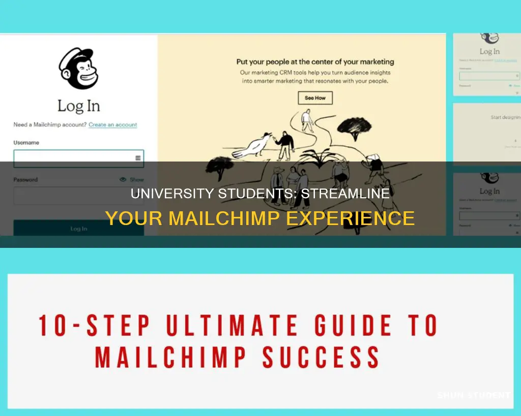 how to organize mailchimp for university students