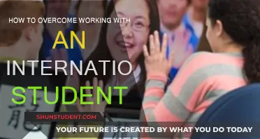 International Student Support: Strategies for Success