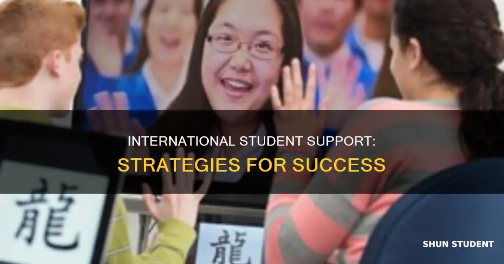 how to overcome working with an internation student