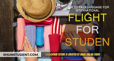 Smart Student Packing for International Flights