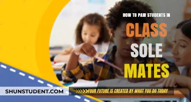 Pairing Students for Success: A Guide to Classroom Soulmates