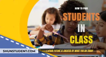 Effective Pairing Strategies for Enhanced Student Collaboration in Class