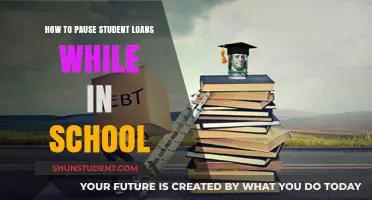 Navigating Financial Ease: Pausing Student Loans During Your Studies