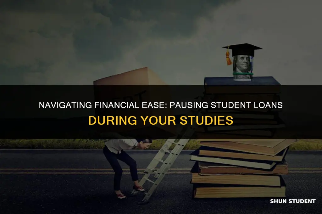 how to pause student loans while in school