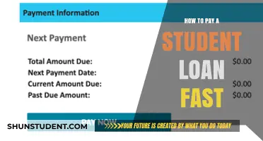 Eradicate Student Loans: Fast and Smart Strategies