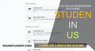 Funding an Exchange Student's US Stay