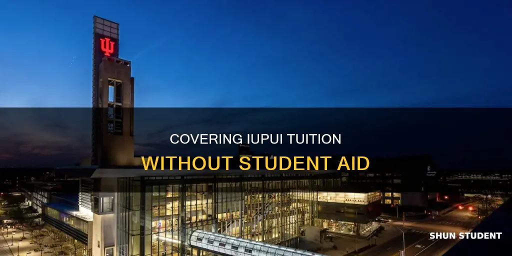 how to pay an iupui class without student aid