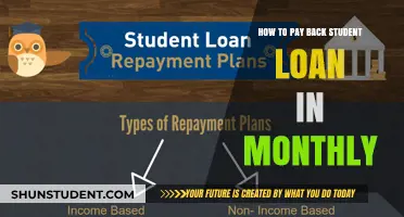 Strategizing Monthly Payments to Clear Student Loans
