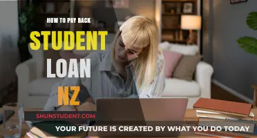 Student Loan Repayment Strategies in New Zealand