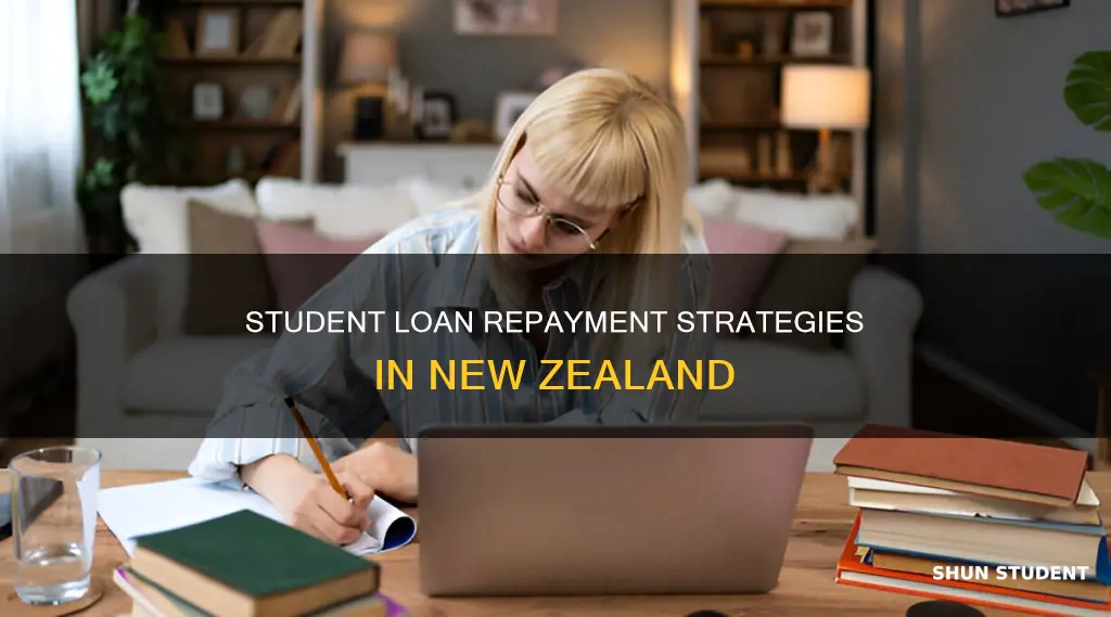 how to pay back student loan nz