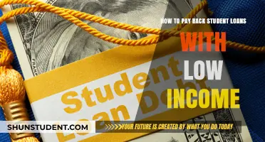 Student Loans: Low Income, Smart Strategies for Repayment