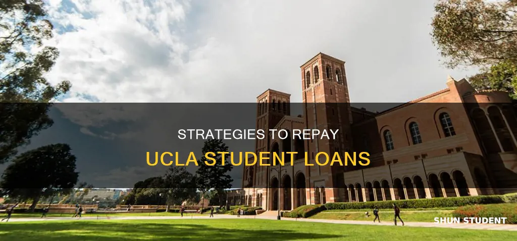 how to pay back ucla student loans