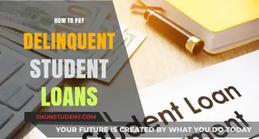 Delinquent Student Loans: Strategies for Repayment