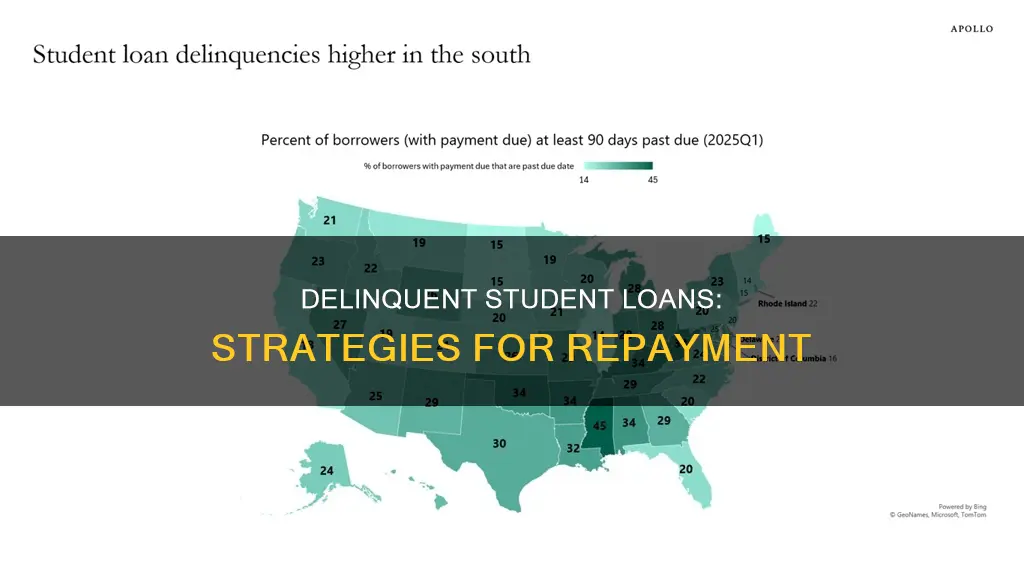 how to pay delinquent student loans