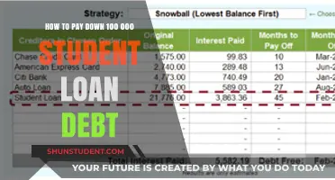 Strategies to Repay Six-Figure Student Loan Debt