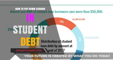 Eradicating Student Debt: Strategies to Overcome a $250,000 Burden