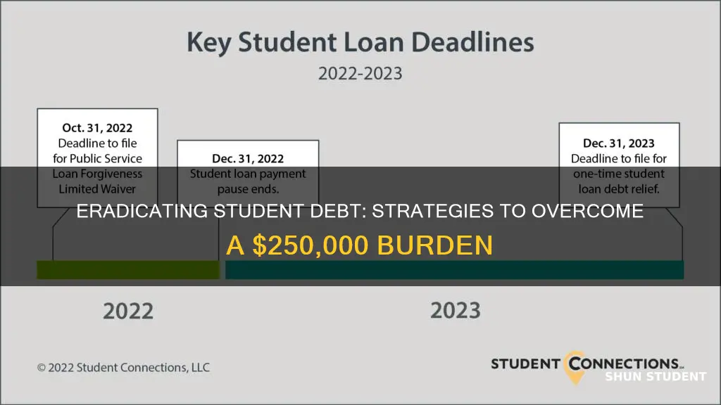 how to pay down 250000 in student debt