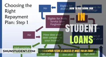 Eradicating Student Debt: Strategies to Crush $30K in Loans