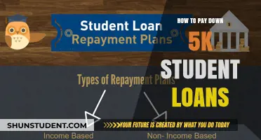 Eradicating Student Loans: Strategies to Pay Off $5K Debt