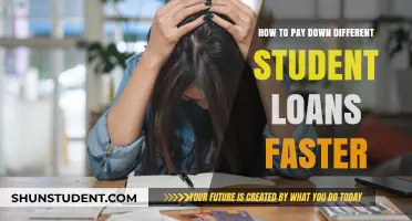 Strategies to Quickly Pay Off Multiple Student Loans