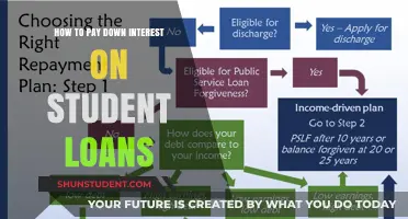 Student Loan Interest: Strategies to Reduce and Save