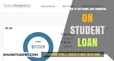Strategies to Reduce Student Loan Principal Faster