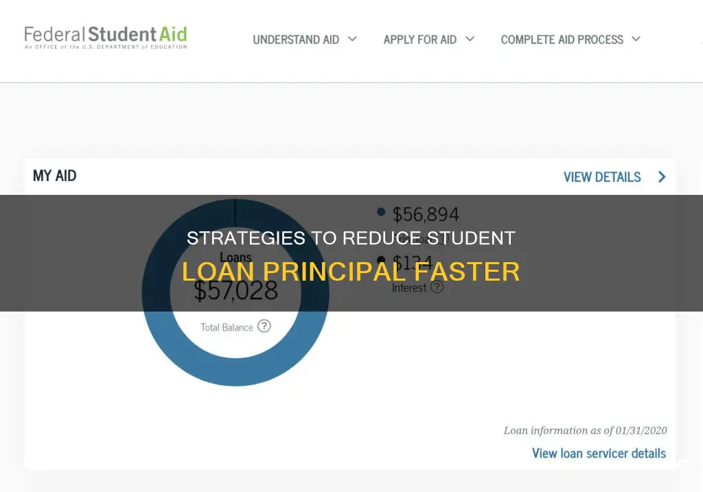 how to pay down just principal on student loan