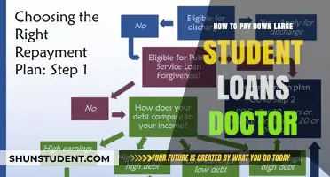 Strategizing Loan Repayment: A Doctor's Guide