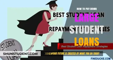 Student Loan Strategies: Paying Down Large Debts