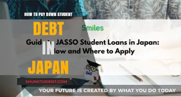 Student Debt: Strategies for Repayment in Japan