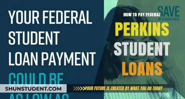 Perkins Student Loans: Repayment Strategies and Options