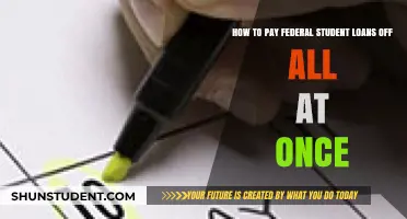 Paying Off Federal Student Loans: Lump Sum Freedom