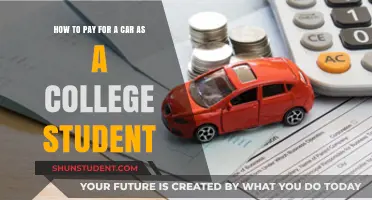 Affording a Car: Student Loan or Part-Time Job?