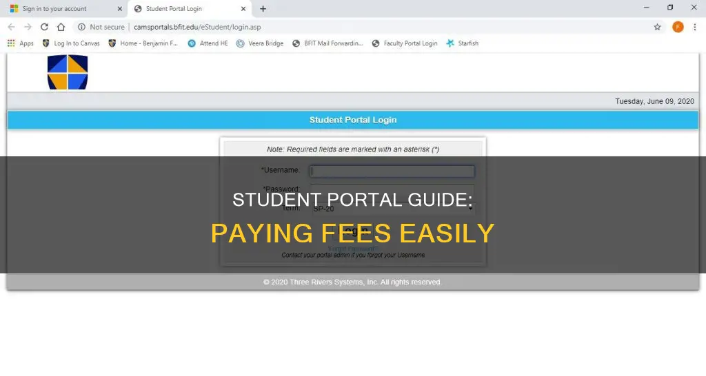 how to pay for fees on the student portal