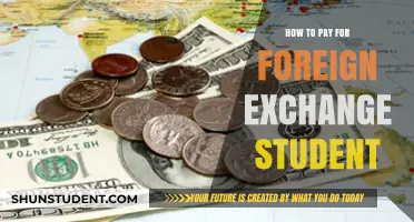 Funding a Foreign Exchange: Financial Strategies for Students